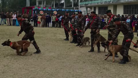 German shepherd dog fear Indian army🇮🇳