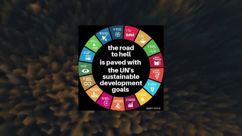 the road to hell is paved with the UN's sustainable development goals MEMES 2023