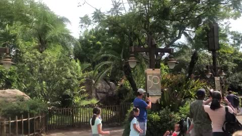 Parrots in Flight in Disney Animal Kingdom