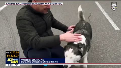 Dog lost in Ukraine rescued by troops, joyfully reuniting with owner