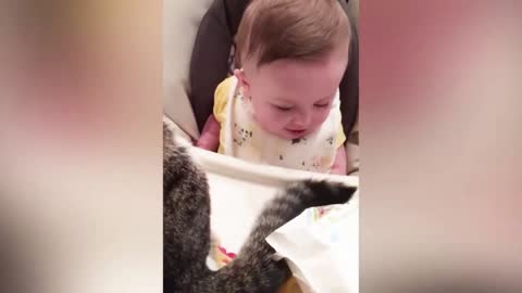 baby boy trying to eat cat tail..