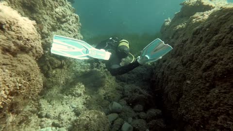 Incredible relaxing scuba diving. Buceadores disfrutando relajados