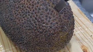 My Jackfruit experience Part 1