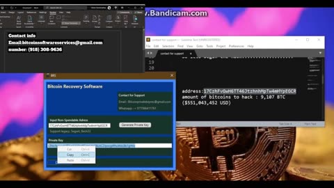 Bitcoin Private Key Finder Online Tools