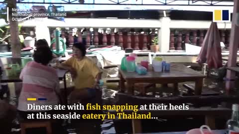 Diners in Thailand enjoy meal in flooded restaurant amid heavy rain season