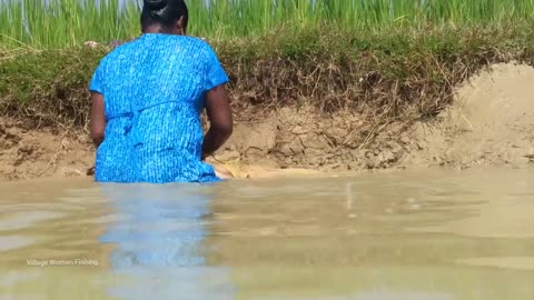 New Best Net Fishing Video | Traditional Women Hunting Big Fish with Net #Fishing