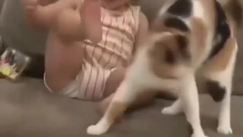 cute baby enjoying to play with cat