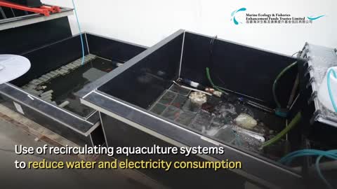 Fisheries Enhancement Fund – Australian Redclaw Crayfish Farming Pilot Project