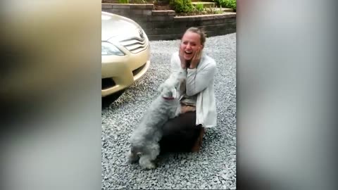 Animals Reunited With Owners After Years !