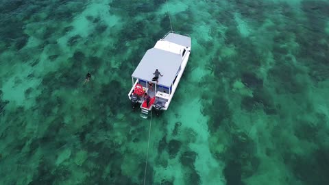 Explore the Exquisite Beauty of Coral Reefs through Snorkeling Adventure