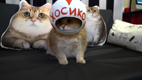 Hosico astronaut