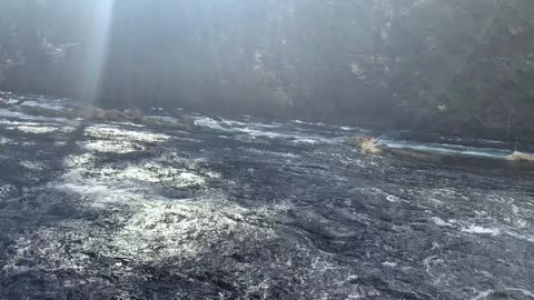 Exploring the Shoreline – Metolius River – Central Oregon