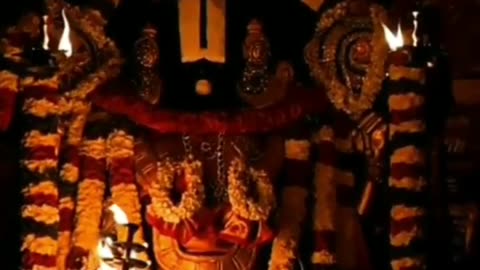 Lord Balaji darshan