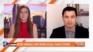 Tipping Point - Pedro Gonzalez - Some Animals Are More Equal Than Others