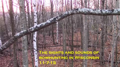 The Sights & Sounds of Bowhunting in Wisconsin