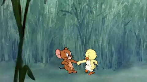 TOM N JERRY 047 Little Quacker [1950]