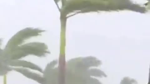 Footage capturing the impact of Hurricane #Beryl as it makes landfall in Jamaica