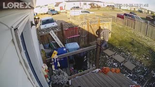 Security cam captures man frightened by squirrel hiding in recycling bin