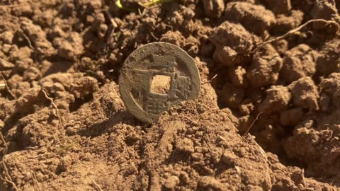 Chinese Coins Found On The Goldfields