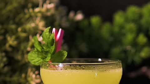 Yellow Bird Cocktail