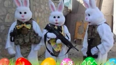 Easter Bunnies Don't Lay Eggs But Urban Popular Democracy Does & The Rabble Exists At Every Level!