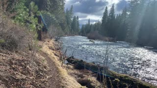 Hiking Beside Our Friend Metolius River – Central Oregon