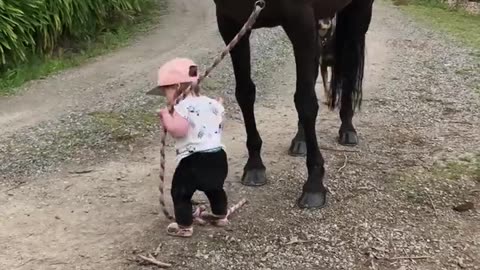 Little Girl Leads Horse