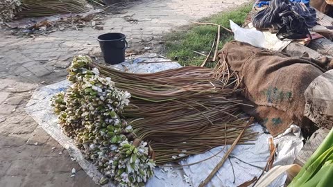 গ্রাম বাংলার হাট বাজার। Bangladesh Village Market | গ্রামের হাট বাজার | Village Tour Part-1