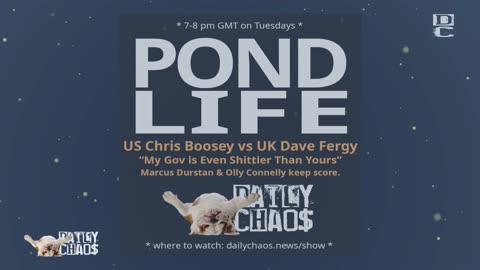 PONDLIFE ~ Daily Chaos