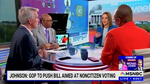 MSNBC Panel Flips Out Over Suggested ID/Citizenship Checks For Voting