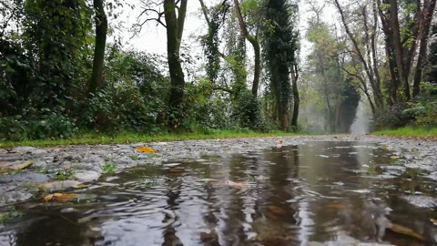 Rain ASMR with Thunder I Feel the Rainy Day I ASMR with Nature