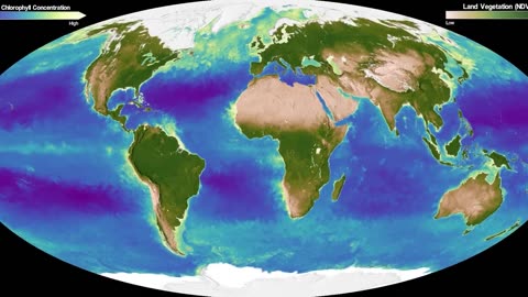 What El Niño Will do to Earth in 2024