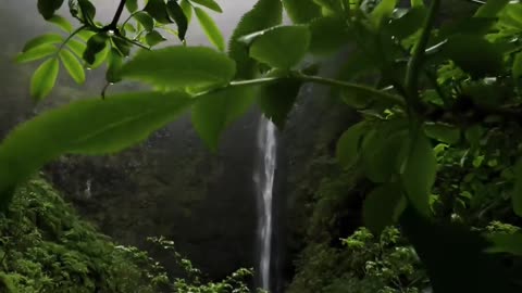 Deep inside the forest there is a fairytale oasis with a sparkling waterfall 🌿✨