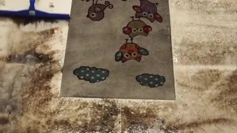 Satisfying rug cleaning