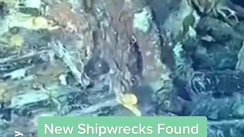 New Shipwrecks FoundNear Treasure-LadenSpanish Galleon