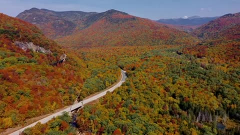 How fun it is to drive your car in an amazing nature