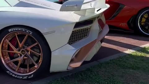 Lamborghini cars