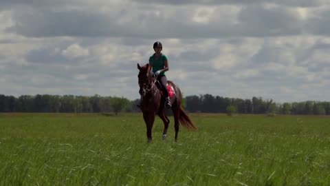 Young woman rider riding a horse on the field