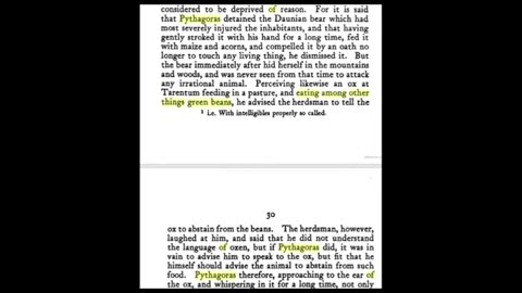 Varg Vikernes/Marie Cachet - VR to Survive the Jive: WHY THE HORSE REPRESENTS THE PLACENTA