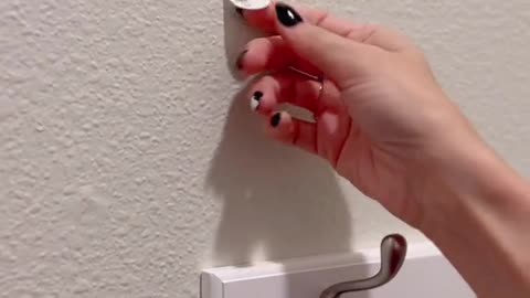 MOM HACK removing command strips without stripping your paint