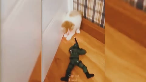 Cat afraid of soldier toy