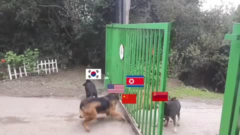 North Korean conflict summarized