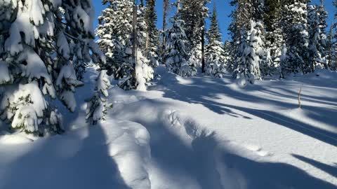 Sparkling Snow – Central Oregon – Swampy Lakes Sno-Park