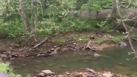 Tractor-Trailer Bounces Over Narrow Bridge