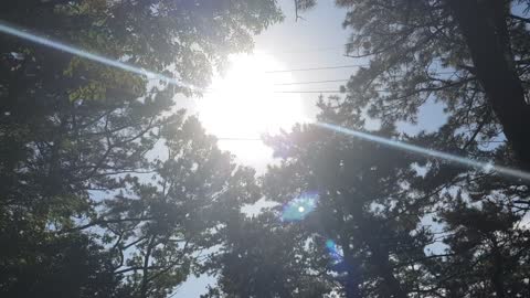 Cable car passing through the forest and the falling sun