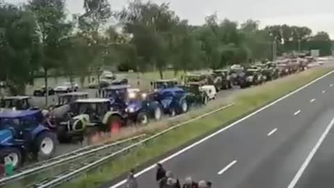 Dutch farmers convoy protests gov demands to reduce carbon use by 30%