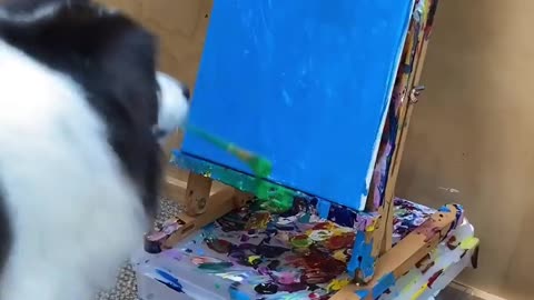 Dog panting a photo.