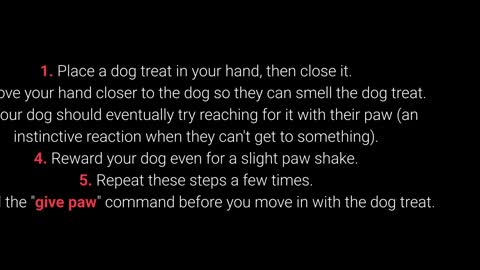 10 most essential commands every dog-10 STAND