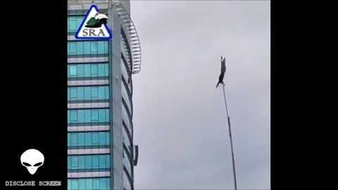 Bird floating in mid air in plain view while firefighters try to remove it..