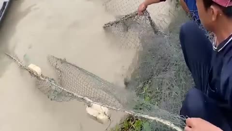 Survival Fishing Technique With Shark Catch River Monsters